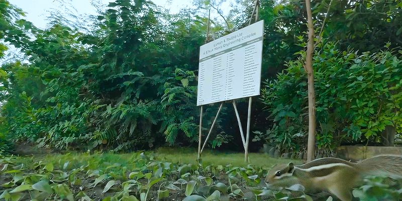 https://2025-dev-website-fbgjefbpfsd8gcbj.a02.azurefd.net/ltdev/media/20bayi50/biodiversity-1.webp