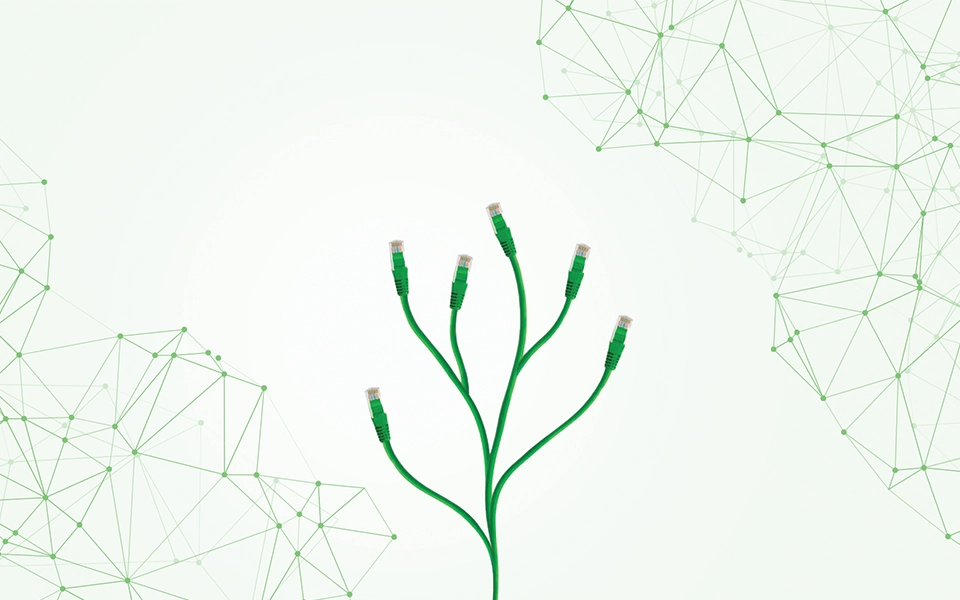 https://2025-dev-website-fbgjefbpfsd8gcbj.a02.azurefd.net/ltdev/media/h1ble0y2/environment.webp