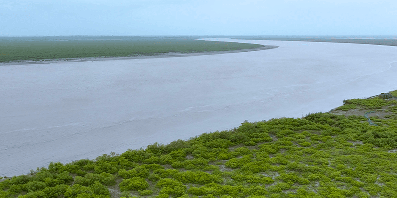https://2025-dev-website-fbgjefbpfsd8gcbj.a02.azurefd.net/ltdev/media/wesobkmh/biodiversity-6.webp
